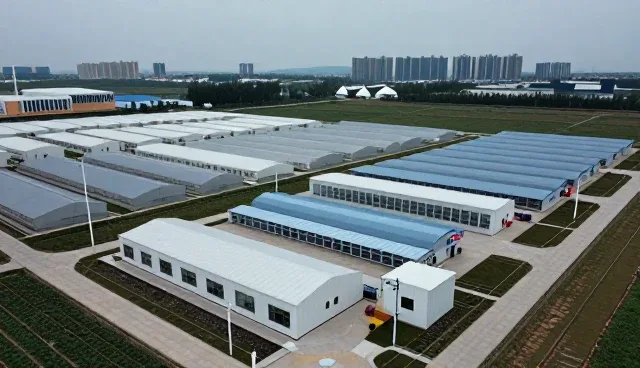 慢病随访在不同地区的应用差异分析